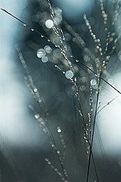 《战地6》单人战役有望在TGS 2025上展示